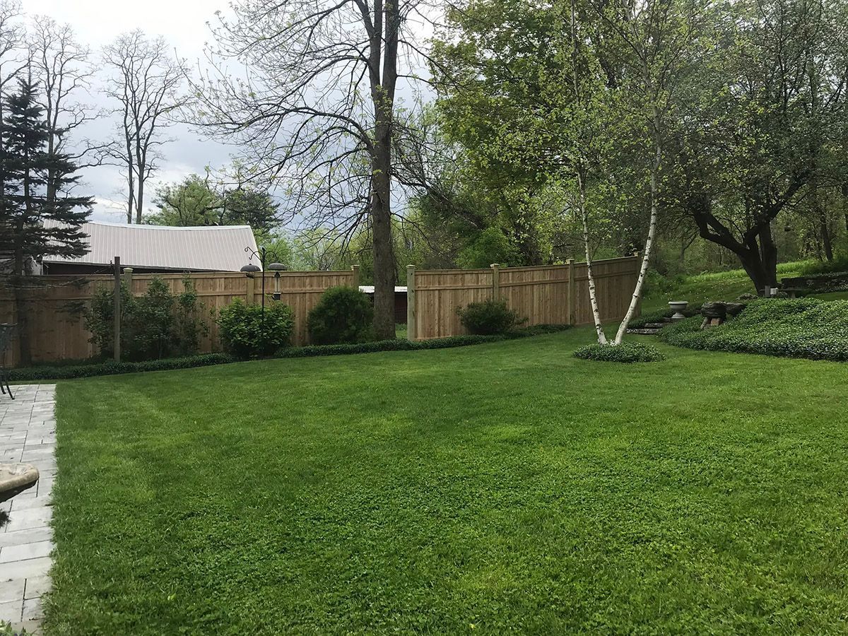 Lush green backyard with grass, a wooden fence, trees, and a house in the background.