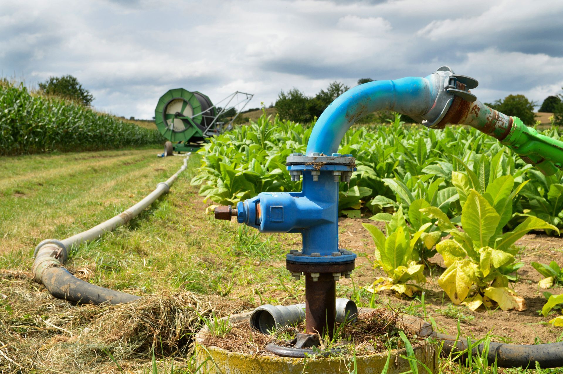 Well pump replacement valve head installed in an irrigation field