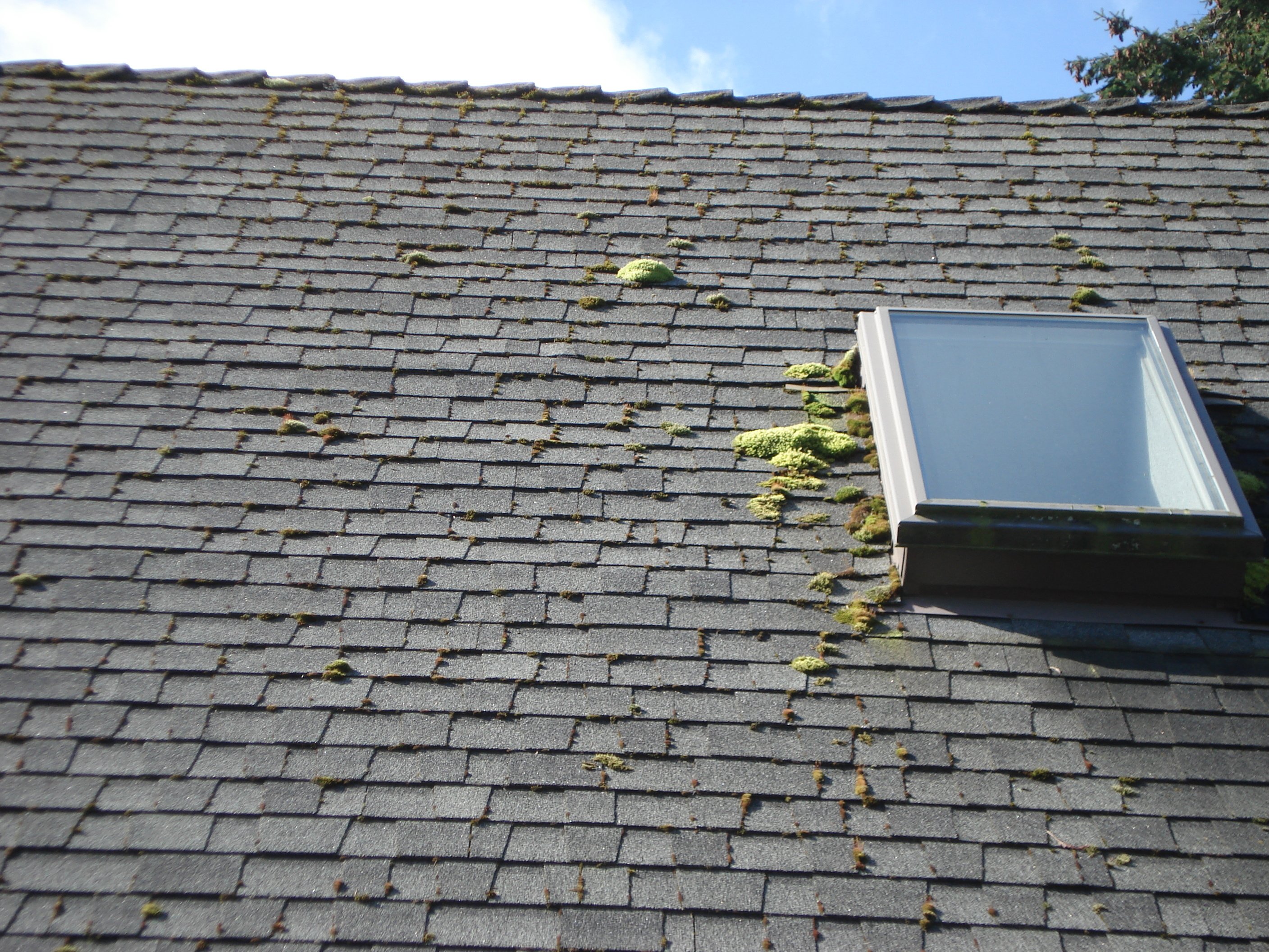 Roof Replacement | Alpine Roofs