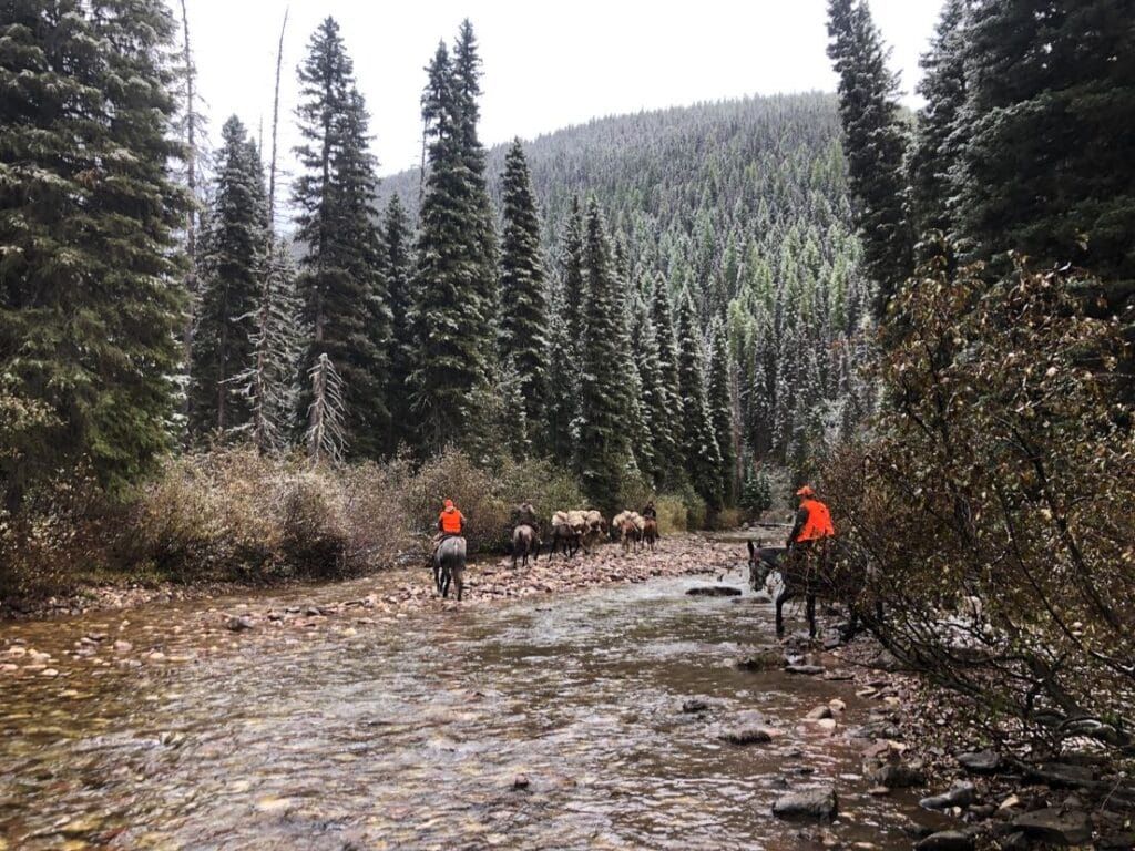 A group of people are riding horses down a river in the woods.