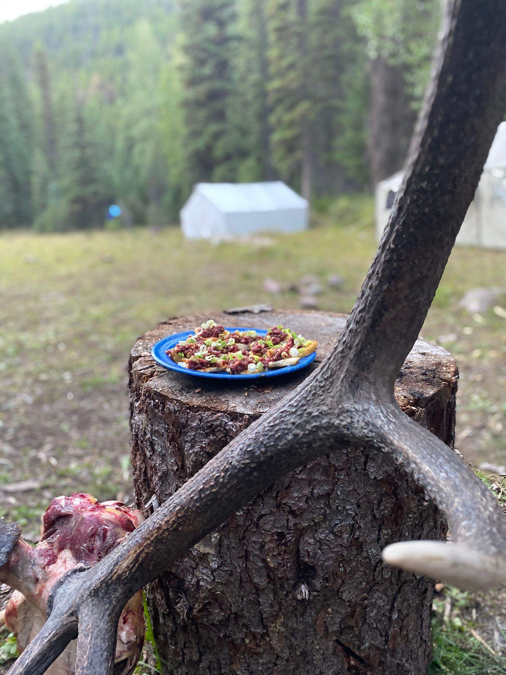 A plate of food is sitting on top of a tree stump.