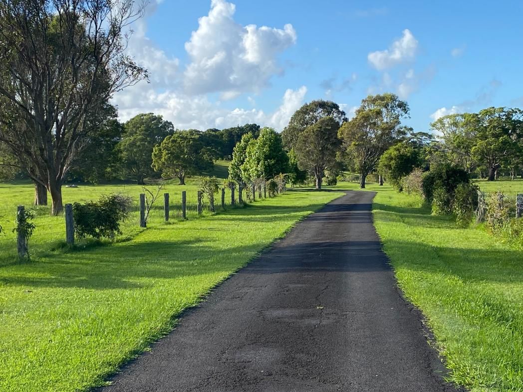 A Road Going Through A Grassy Field With Trees On Both Sides — Byron Storage Services In Myocum, NSW