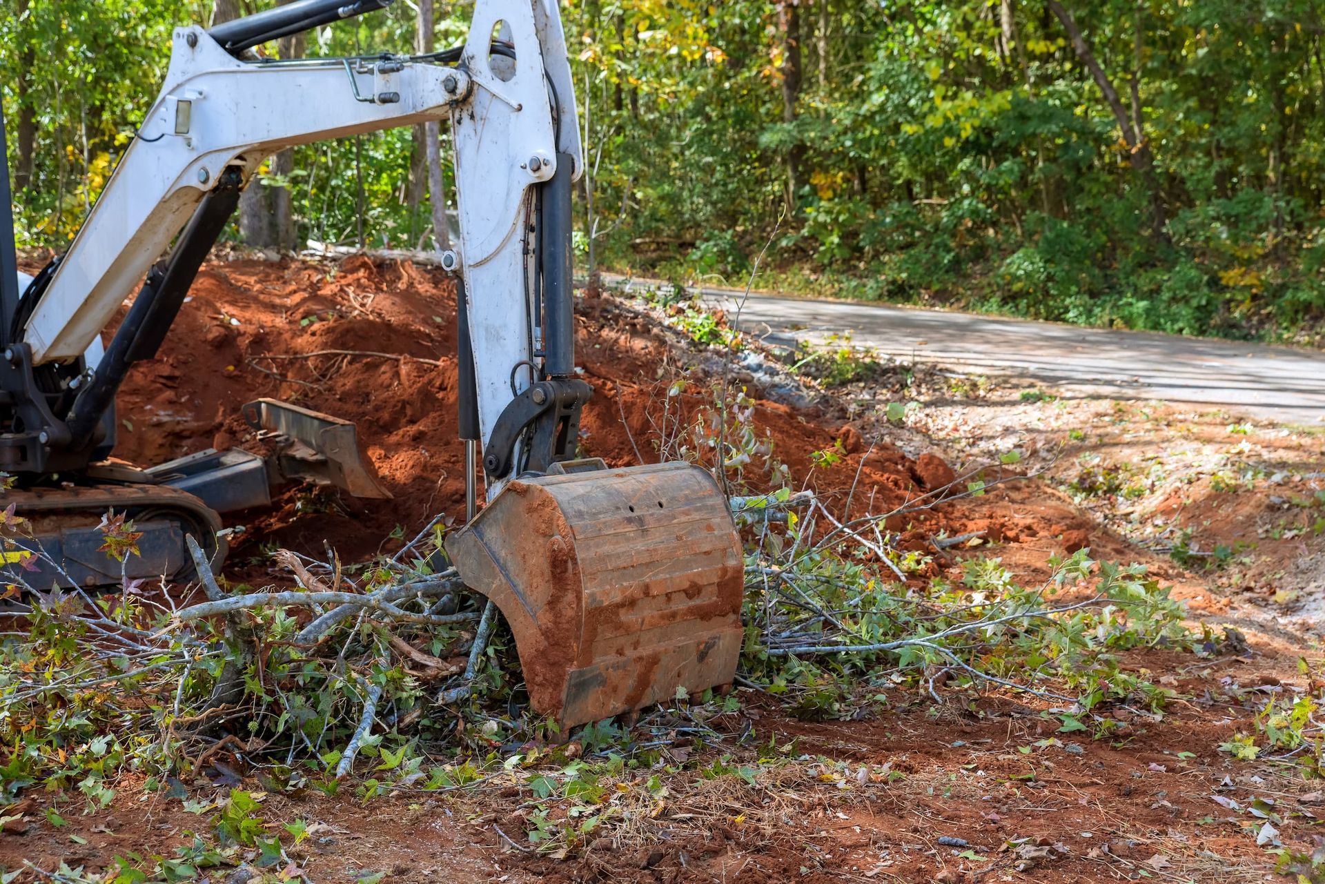 Clearing Some Areas On Land