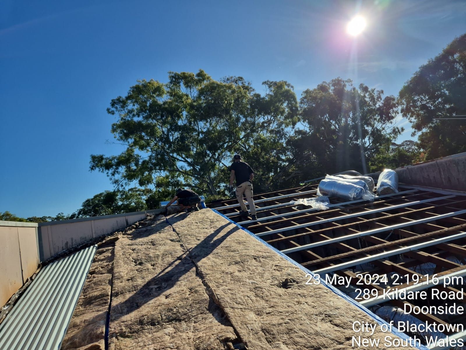 Roofers working on a sunlit shingle roof beside trees and a blue sky.