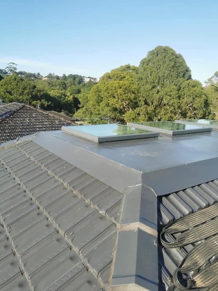 Rooftop skylights on a gray metal roof with trees and blue sky in the background