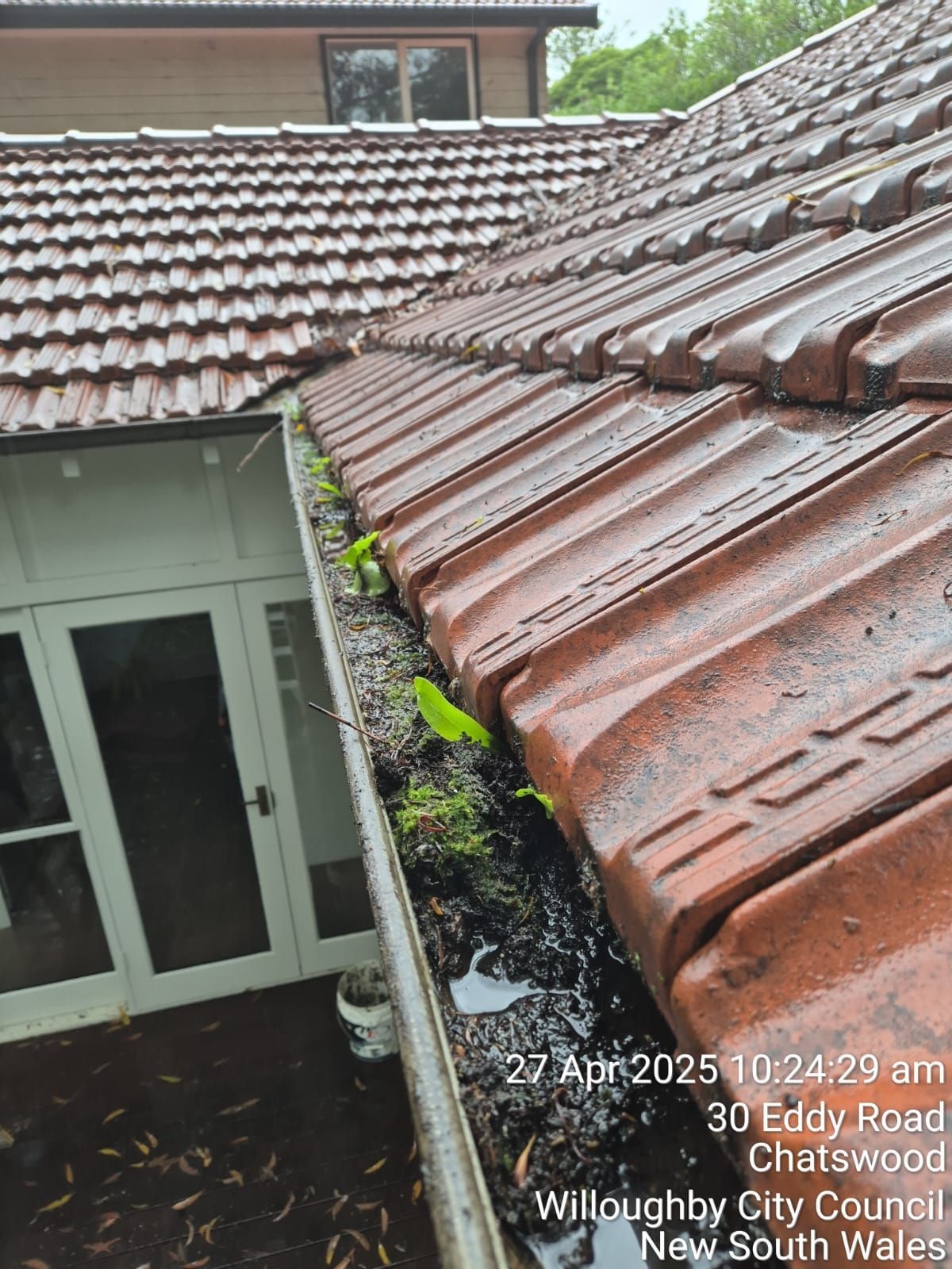 Roof tiles and mossy gutter beside a white door on a house exterior