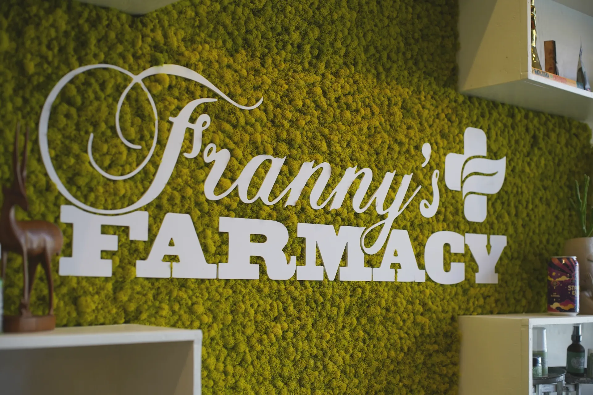 Franny's Farmacy Raleigh store interior