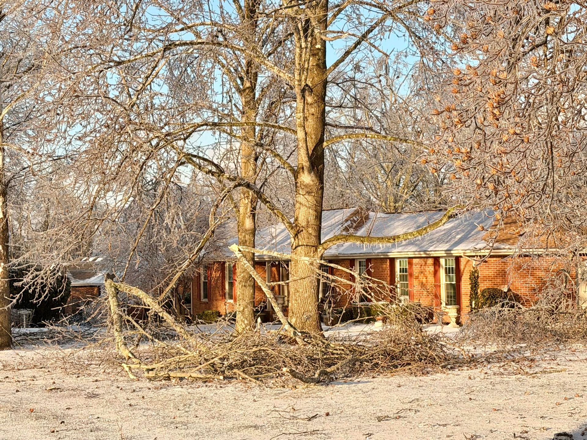 Small orange cabin behind leafless trees in a snowy yard
