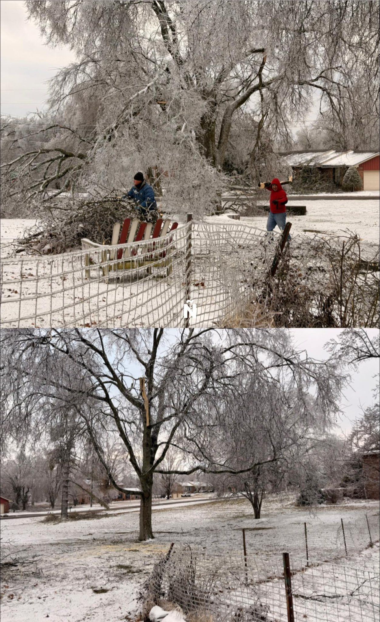 Snow-covered park with two people near icy trees and a fence, one in blue and one in red.