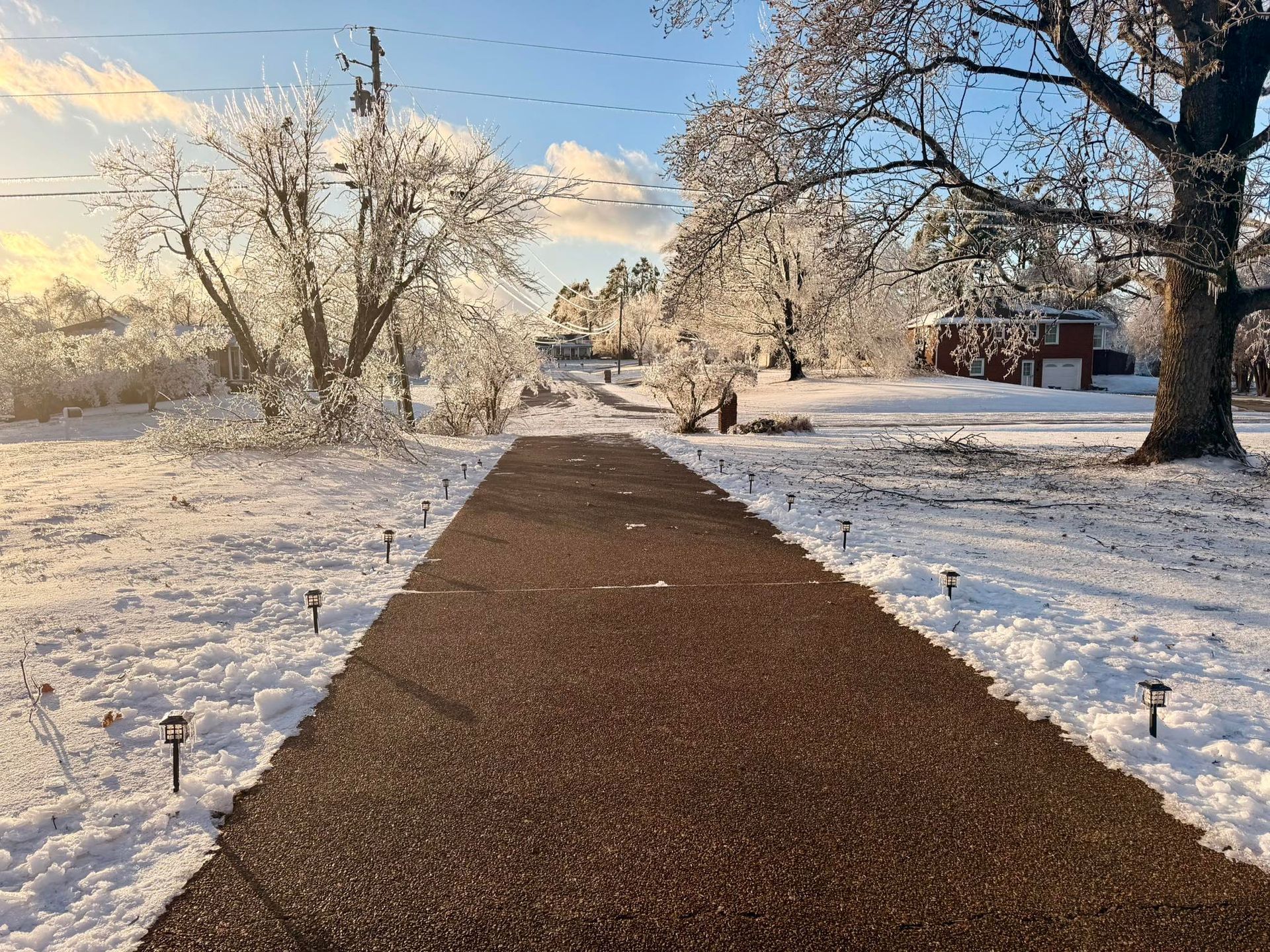 Snow-covered park path lined with frosted trees under a pale winter sky