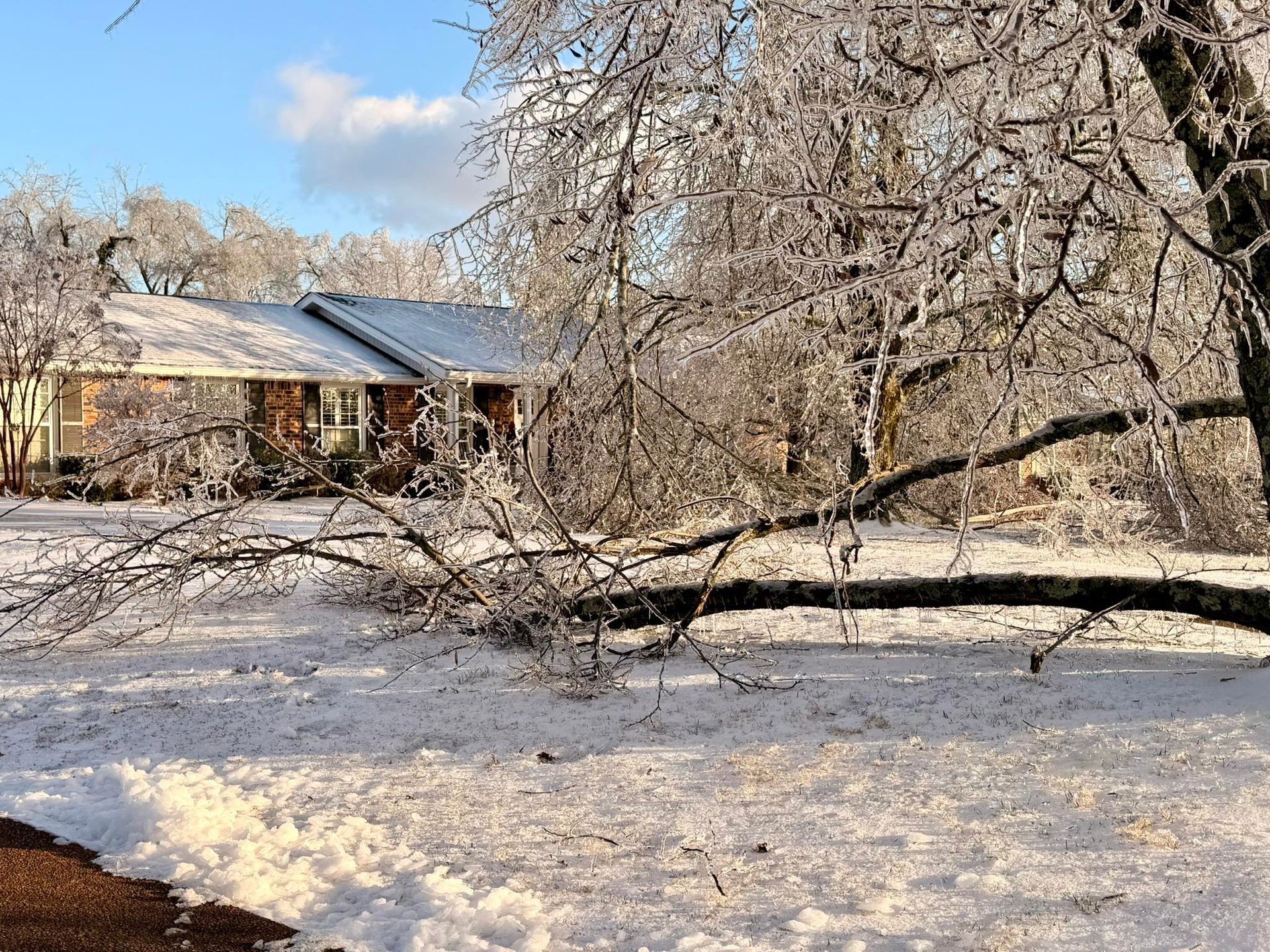 Snow-covered yard with a house and frost-laden trees on a sunny winter day