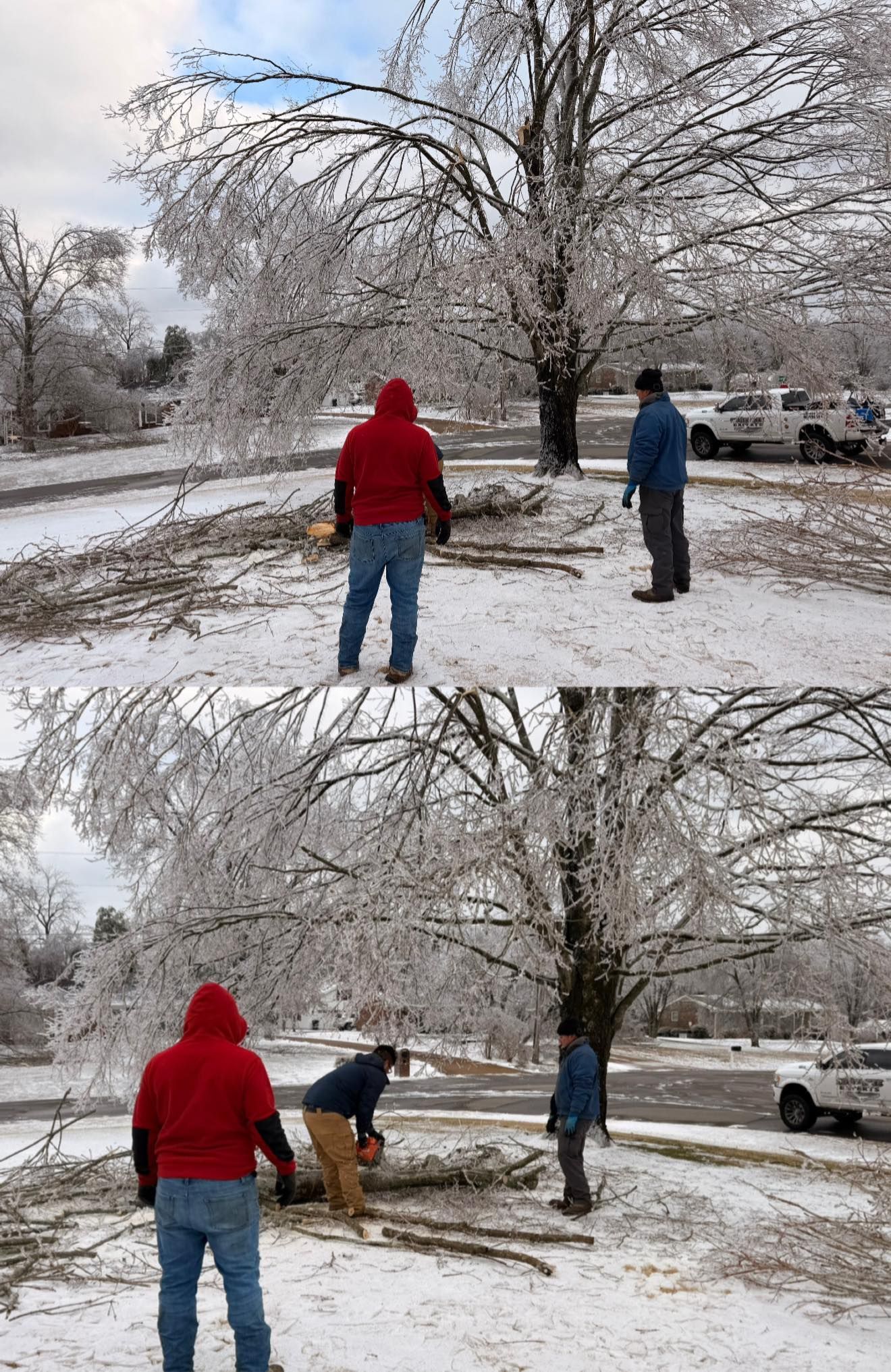People clearing ice from a fallen tree on a snowy roadside, with a truck parked nearby.