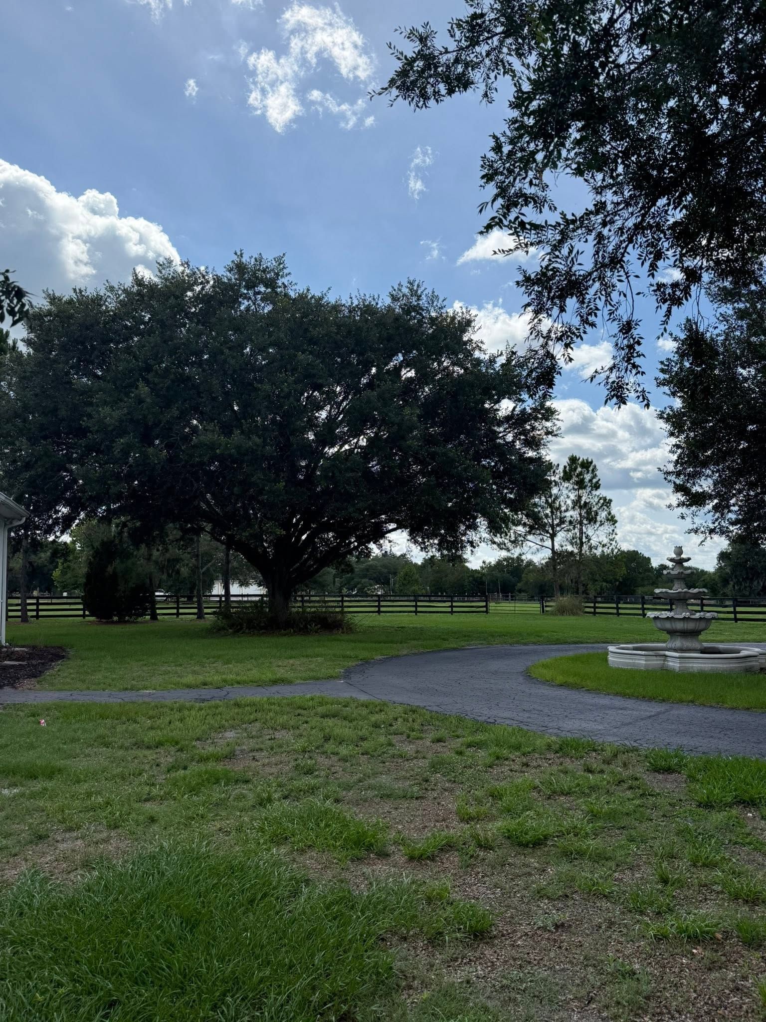 Grassy park with large trees, a winding path, and blue sky with clouds