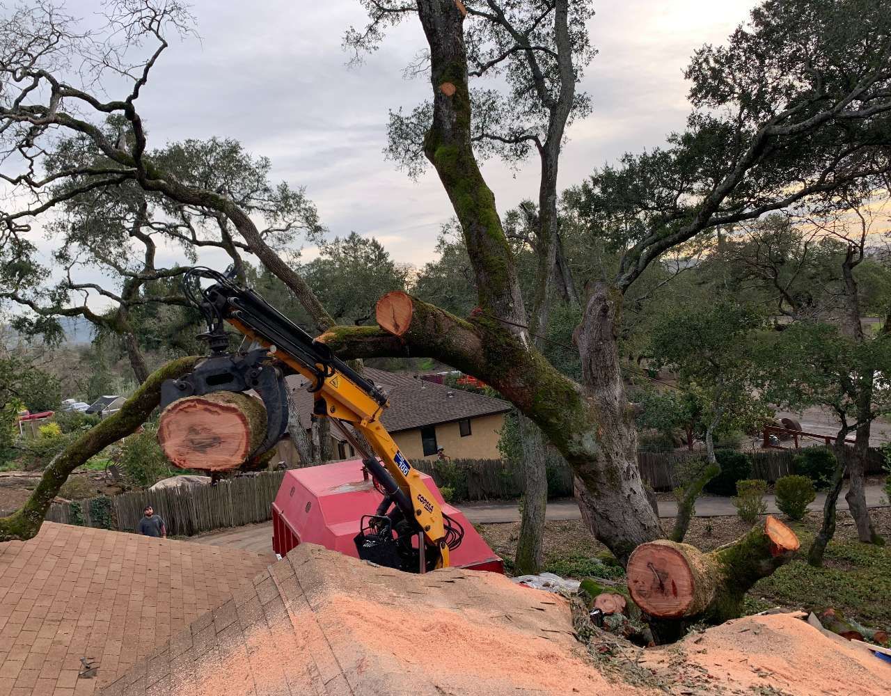 Excavator lifting a large log beside a pink dump truck in a wooded area with cut trees