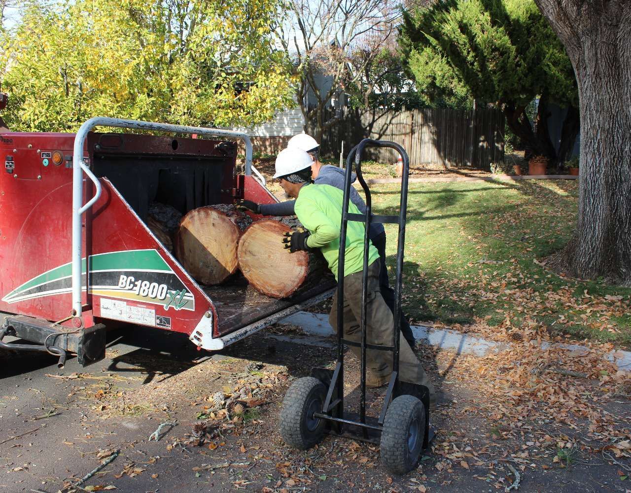 A man is pushing a cart with logs in it.