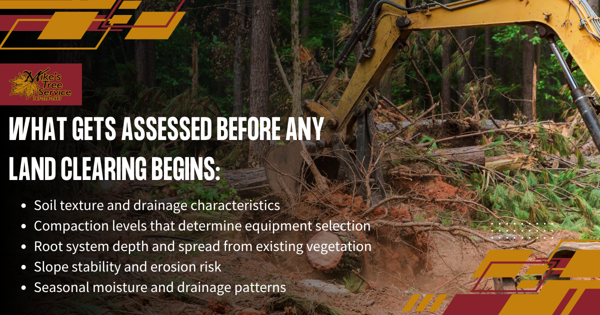 Infographic on land clearing: soil, tree coverage, water impact and habitat species are assessed before clearing begins.