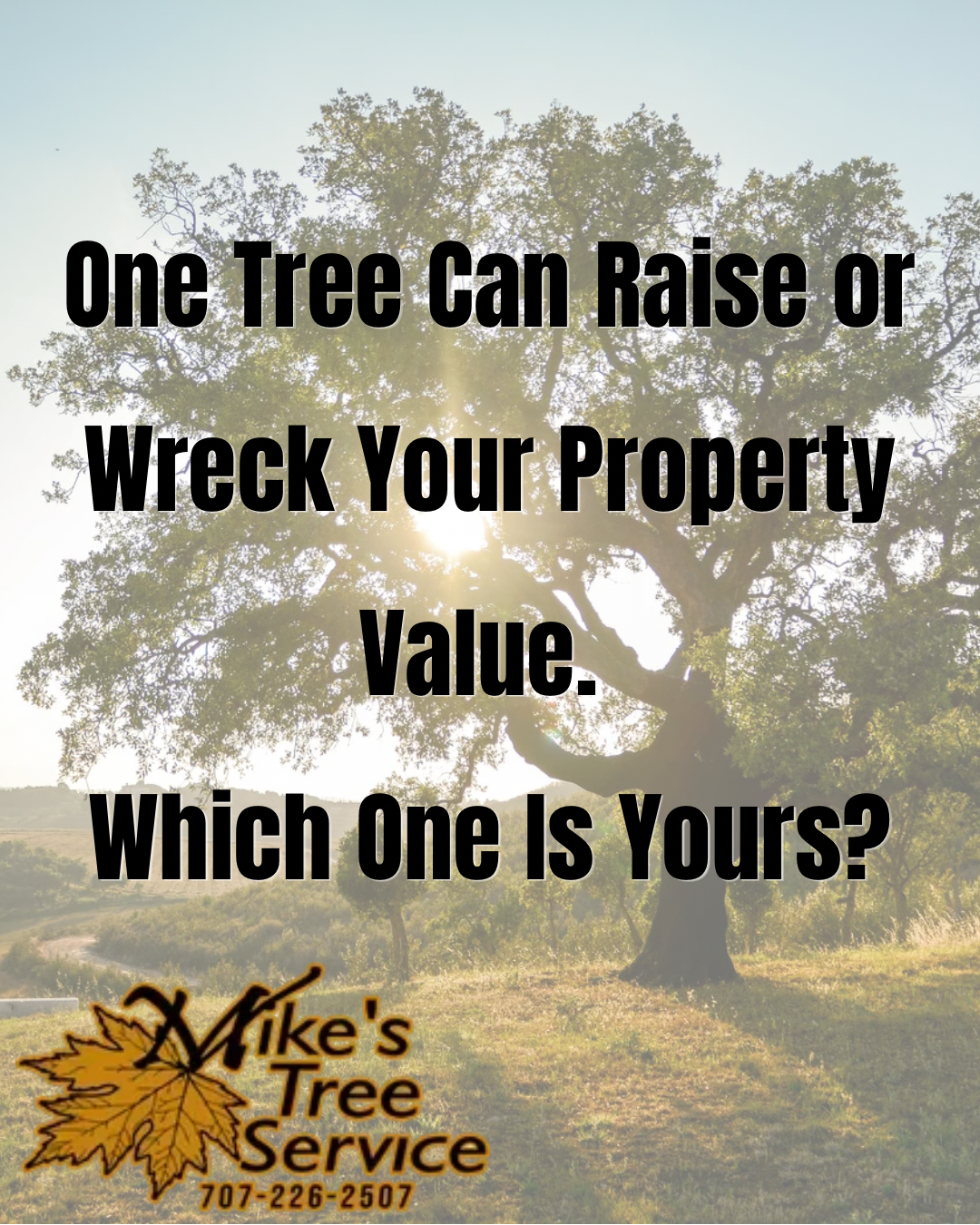 Tree service ad with text about one tree raising or wrecking property value, on a sunlit yard background.