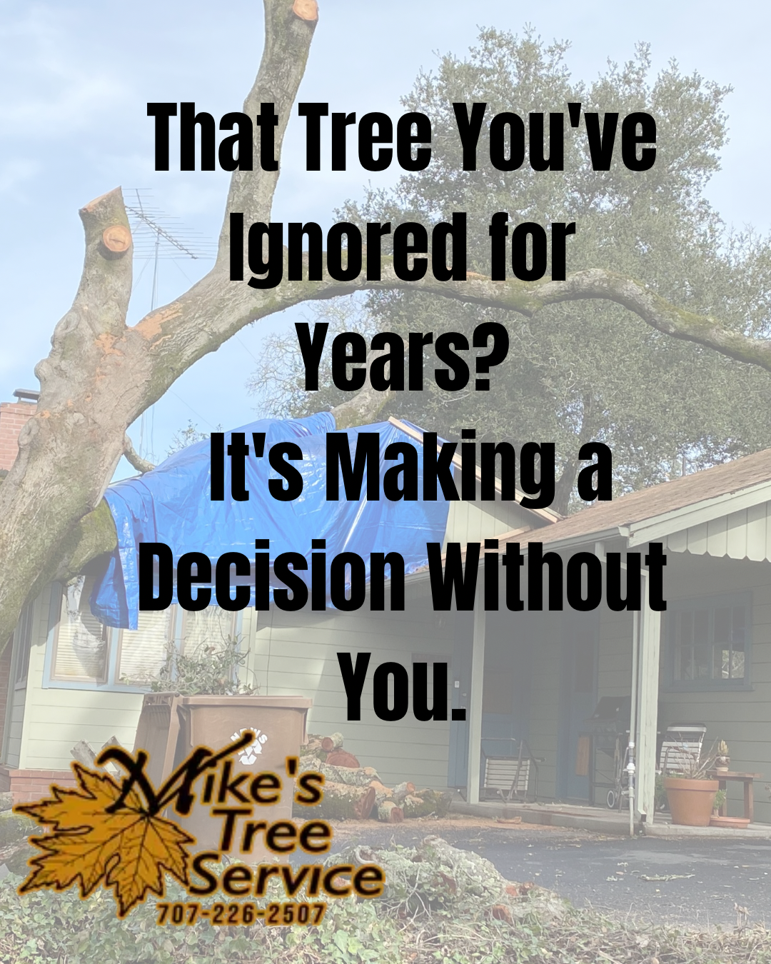 Tree service ad with text: “That tree you’ve ignored for years? It’s making a decision without you.”