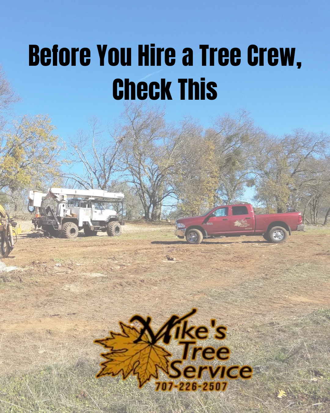 Tree service ad with white truck, red pickup, and text “Before You Hire a Tree Crew, Check This”