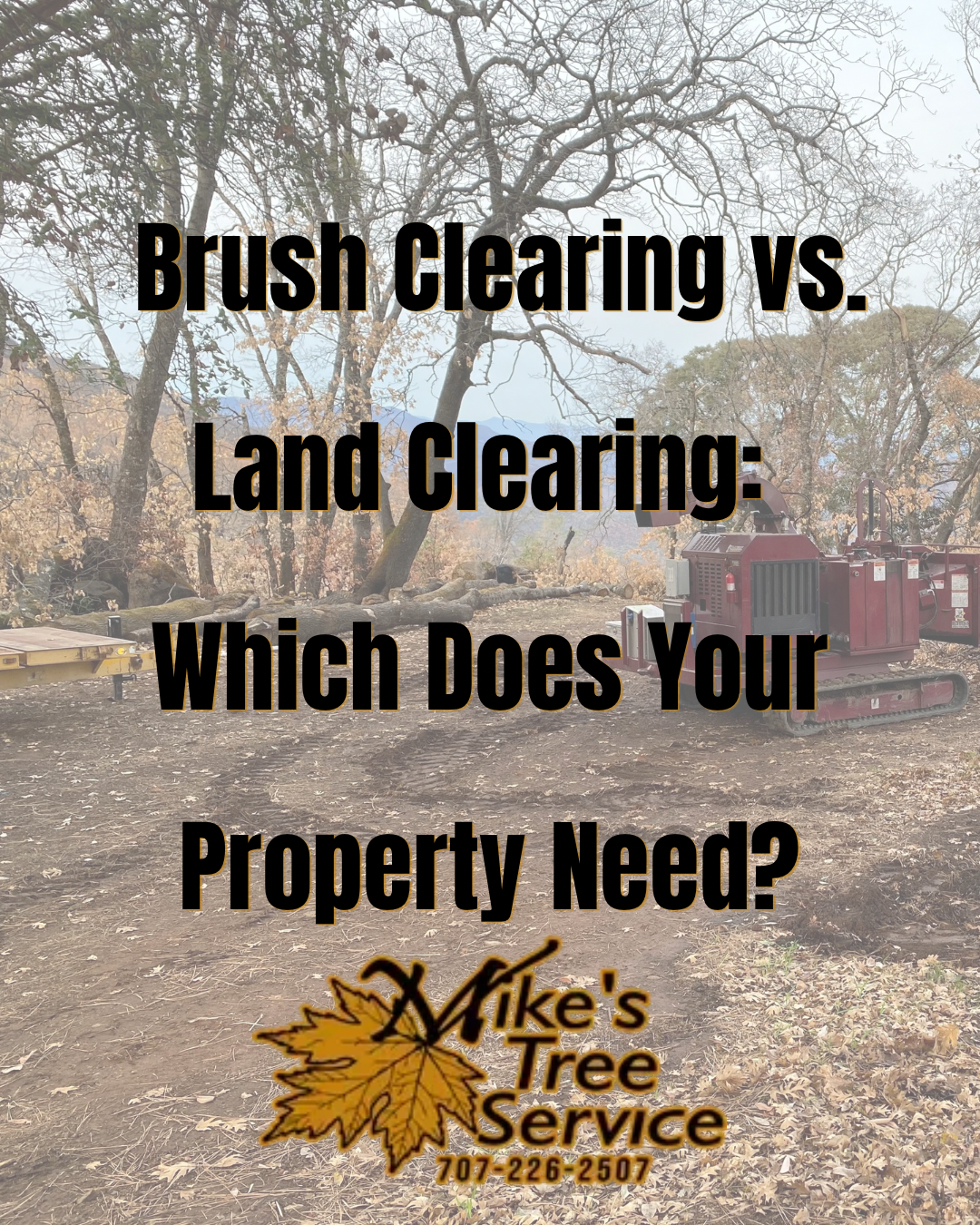 Brush clearing vs. land clearing flyer over a wooded yard with Mike's Tree Service logo