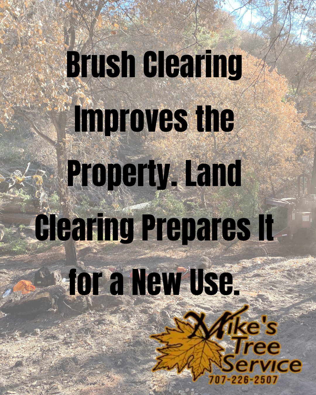 Brush clearing before-and-after message over a wooded property, with Mike’s Tree Service logo.
