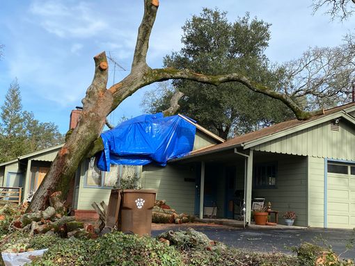 Tree branch fallen on a house, covered by a blue tarp. Debris on ground.