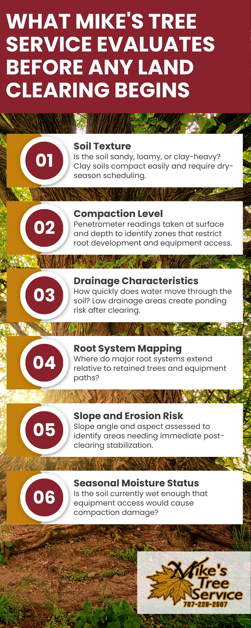 Infographic on tree service steps before land clearing, with six numbered tips and a woodsy background