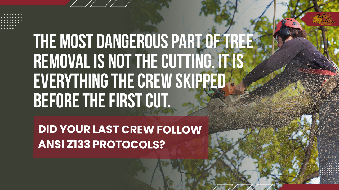 Tree removal safety sign with worker cutting branches and text about ANSI Z133 protocols