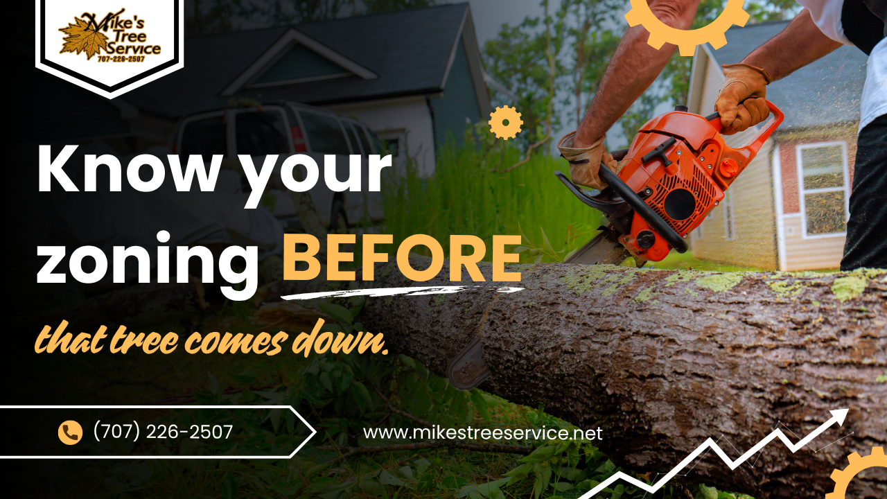 Lawn care ad: orange mower near house with text “Know your zoning BEFORE that tree comes down.”