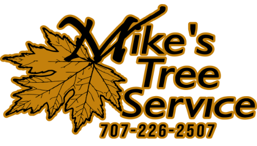 Mike's Tree Service logo with a gold maple leaf and phone number 707-226-2507.