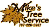 Mike's Tree Service logo with a gold maple leaf and phone number 707-226-2507.