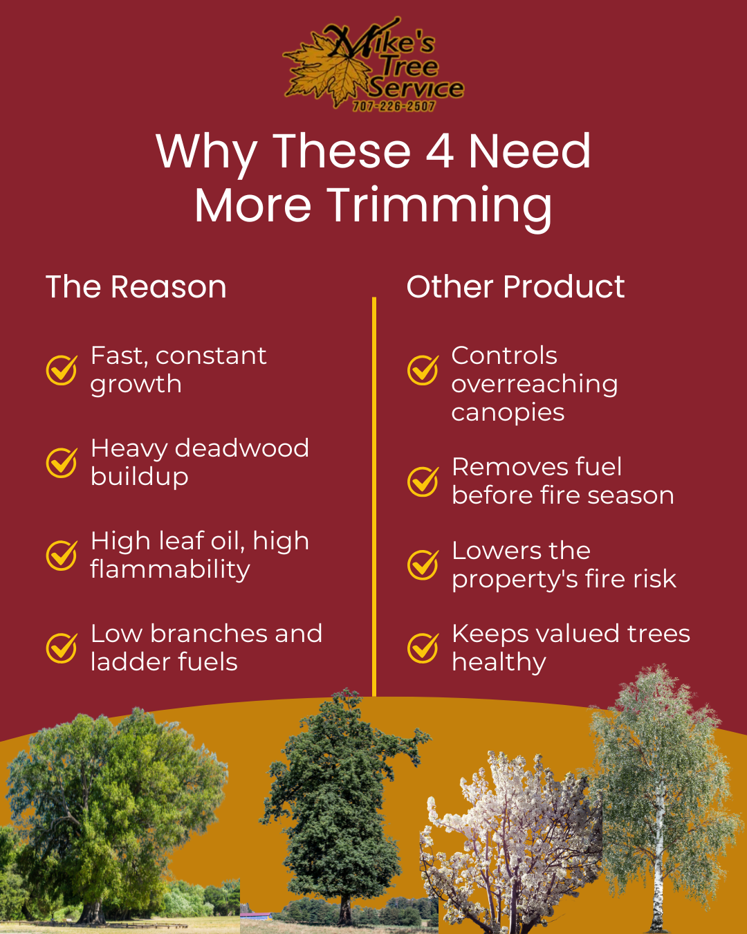 Infographic comparing Controlled Burn Fire and Mechanical Clearing Fire with before-and-after land images.