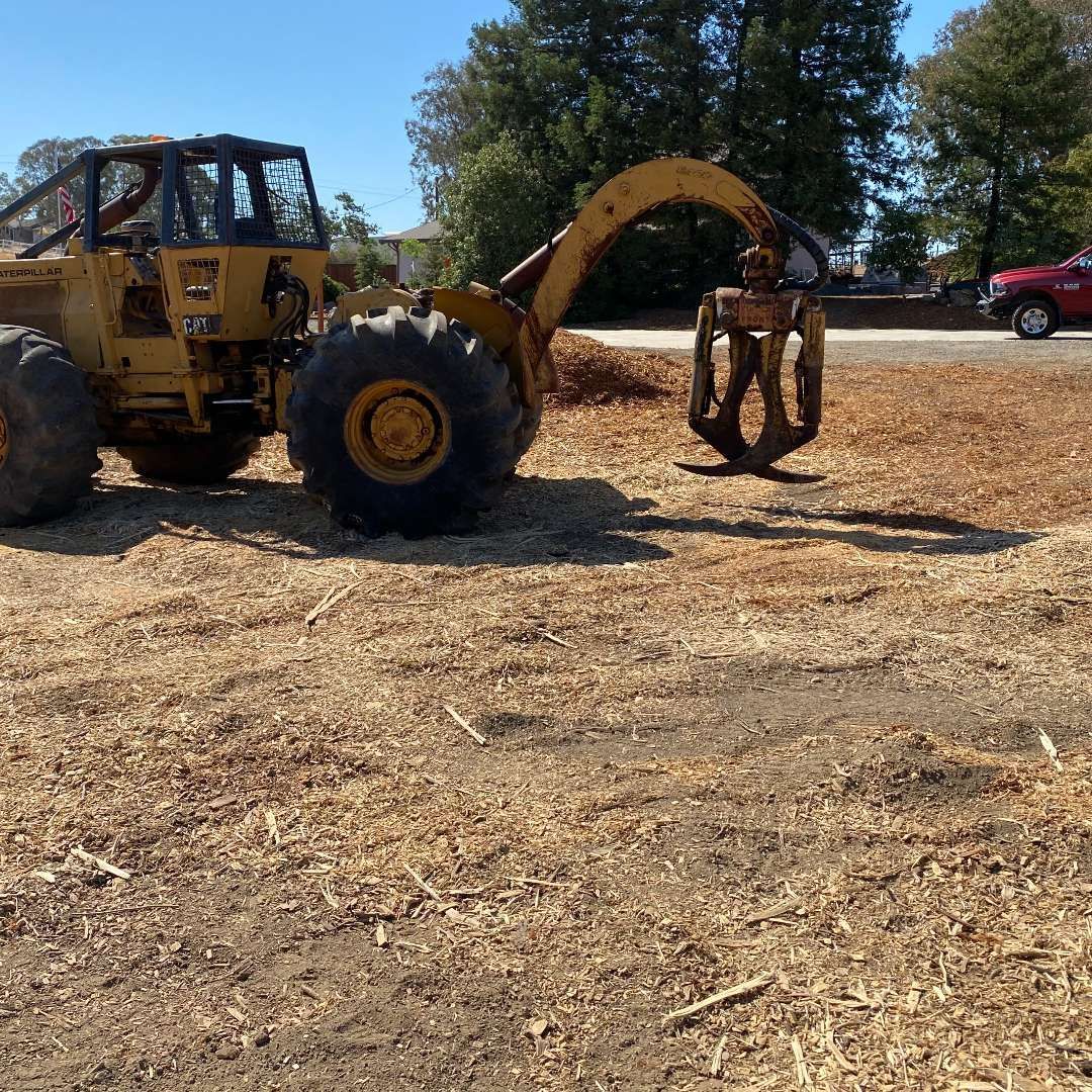 A yellow tractor is parked in a dry field Yellow logging machine with grapple arm in a field. A red truck is parked in the distance.