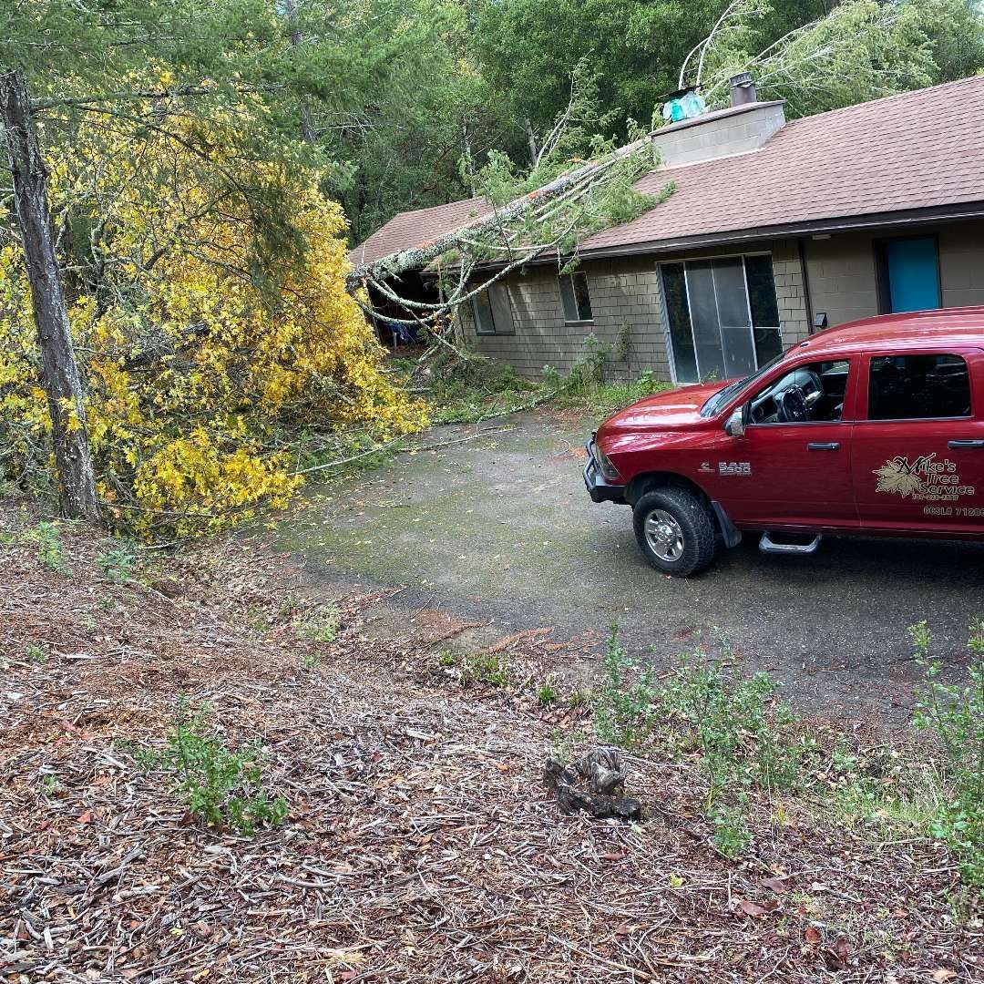 Red work truck and wood chipper parked on a wet street near a house. Red work truck and wood chipper parked on a wet street near a house.
