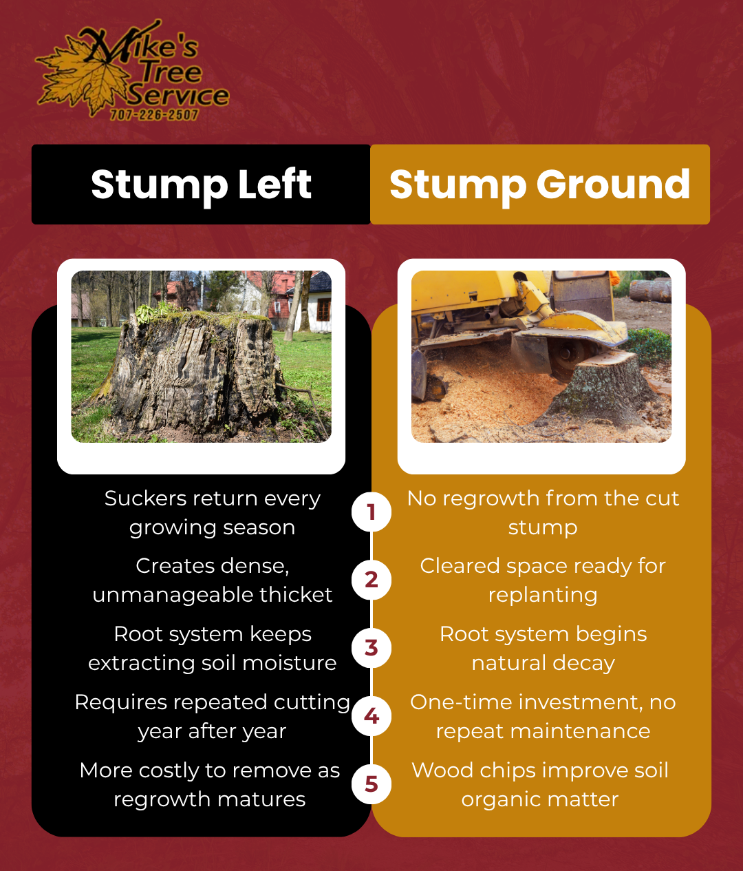 Infographic comparing stump left vs stump ground with photos and benefits of grinding stumps away