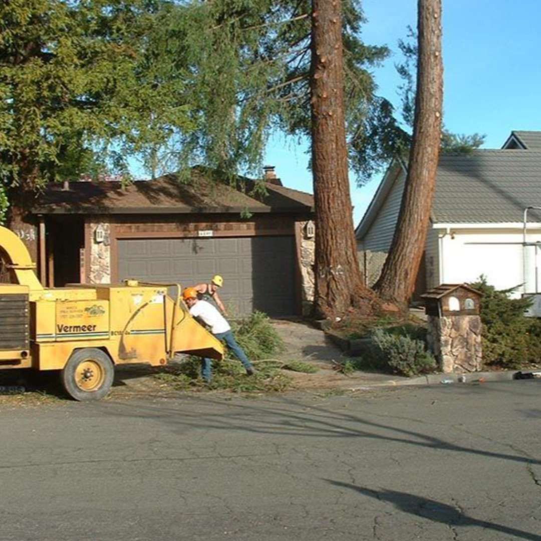 A yellow tree chipper is parked in front of a house