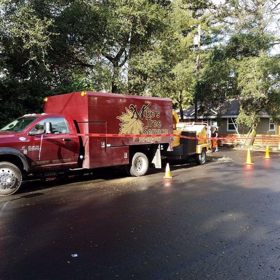 Red utility truck and equipment trailer on a wet road with cones, surrounded by trees.