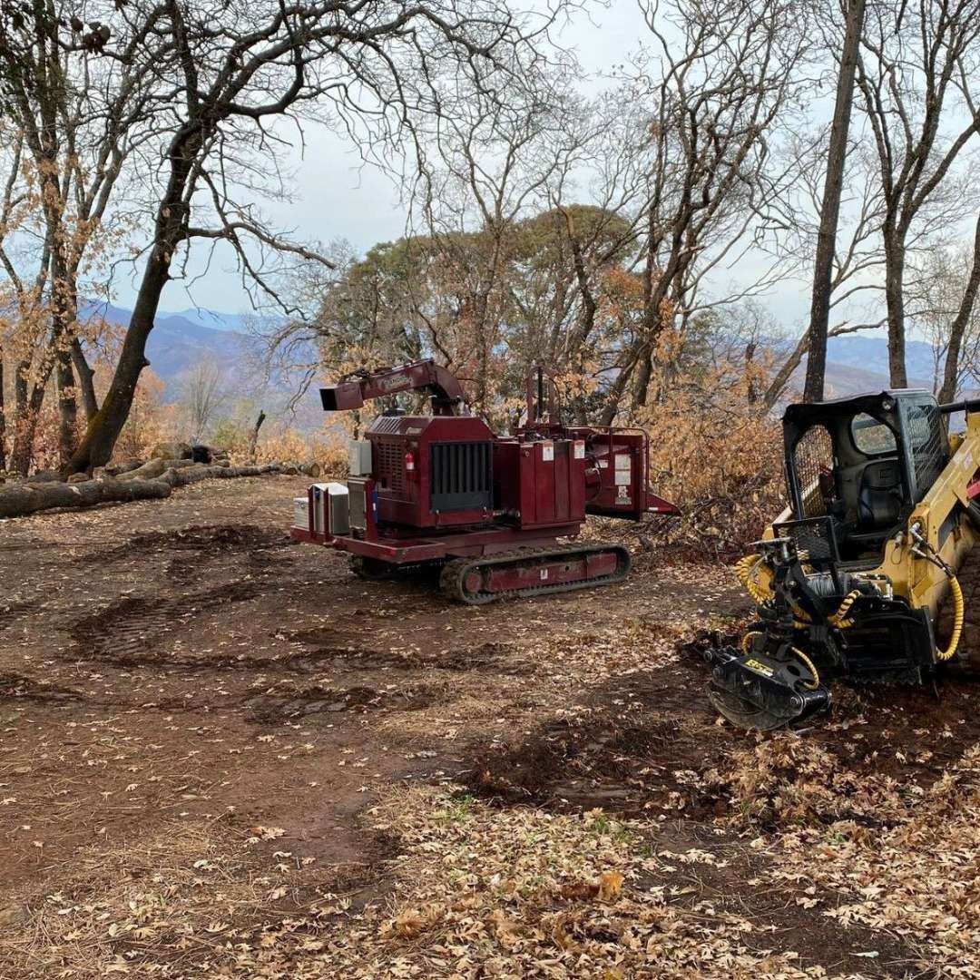 Red compact tractor in a leaf-covered wooded area with a yellow machine at right