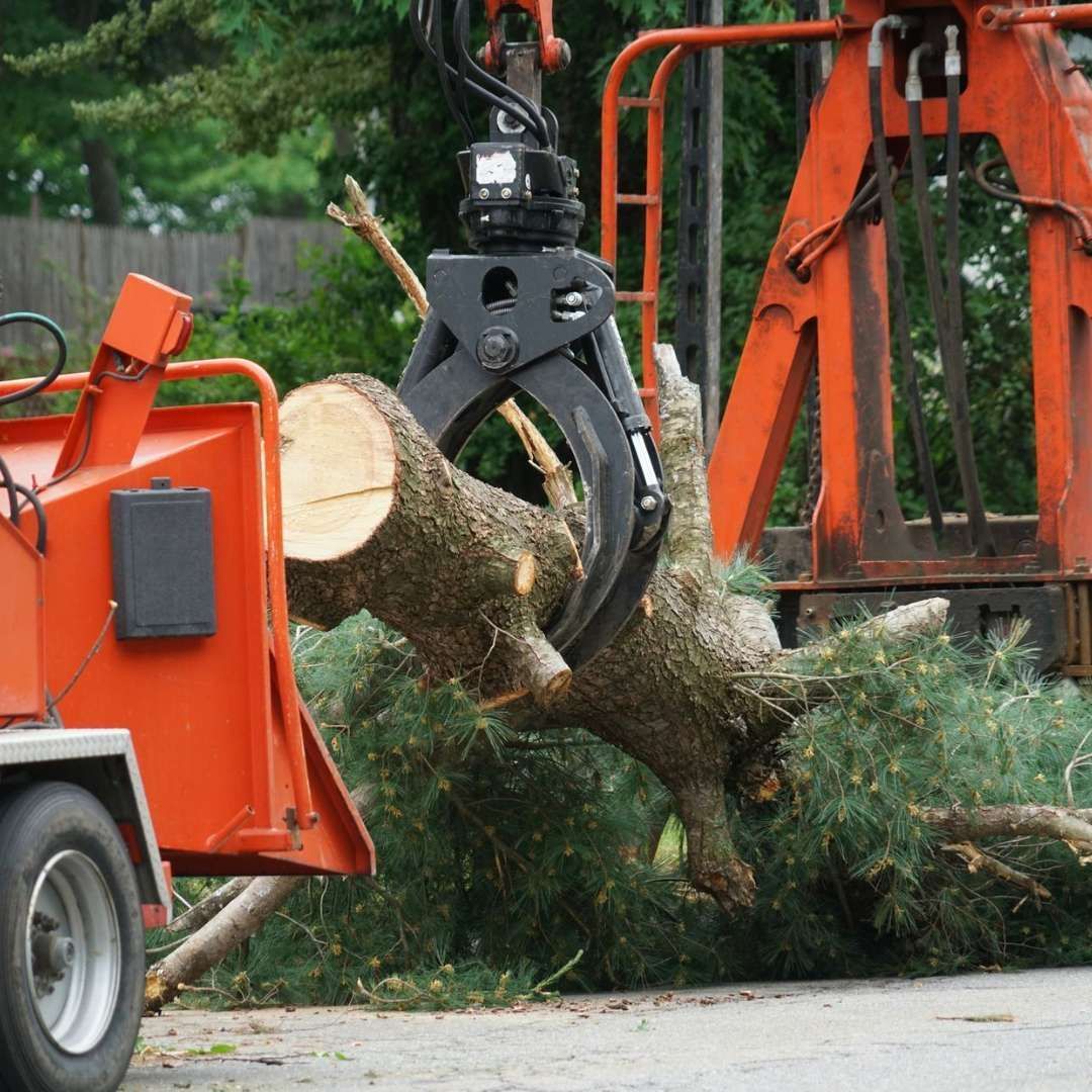 Excavator claw lifting a cut tree trunk beside an orange wood chipper on a street.