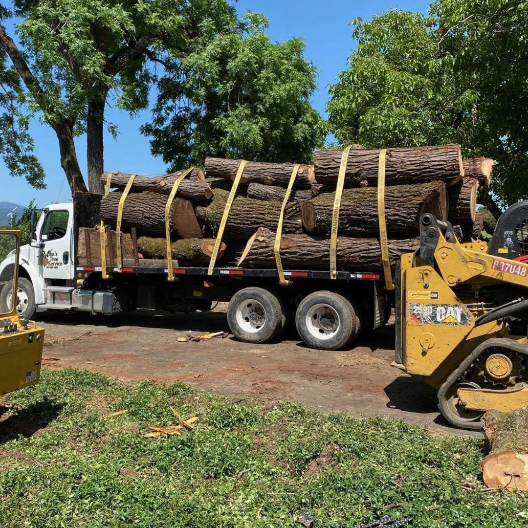 A truck filled with logs is parked next to a bulldozer.