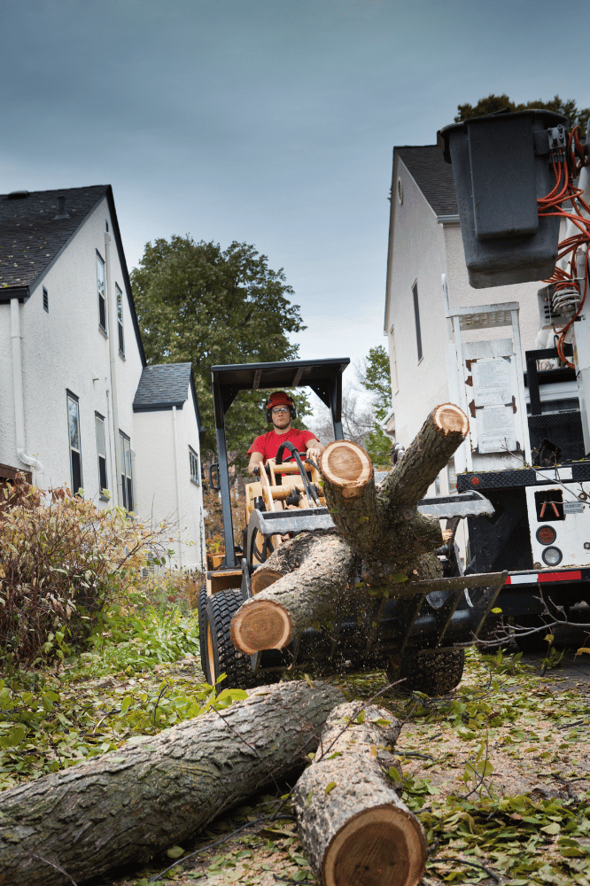 A man is driving a forklift over a pile of logs.