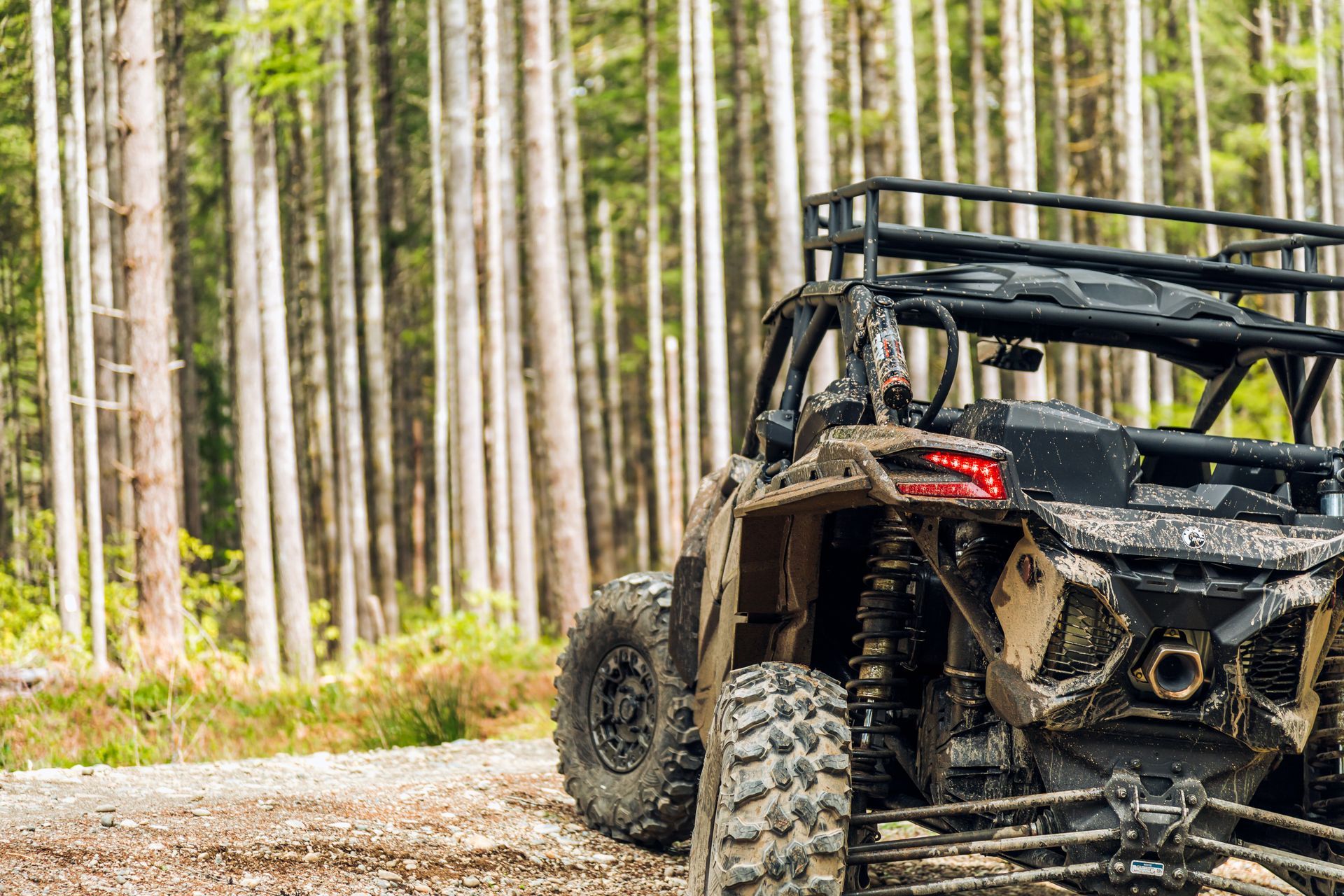 Black off-road side-by-side parked on a dirt trail in a pine forest Black off-road side-by-side parked on a dirt trail in a pine forest