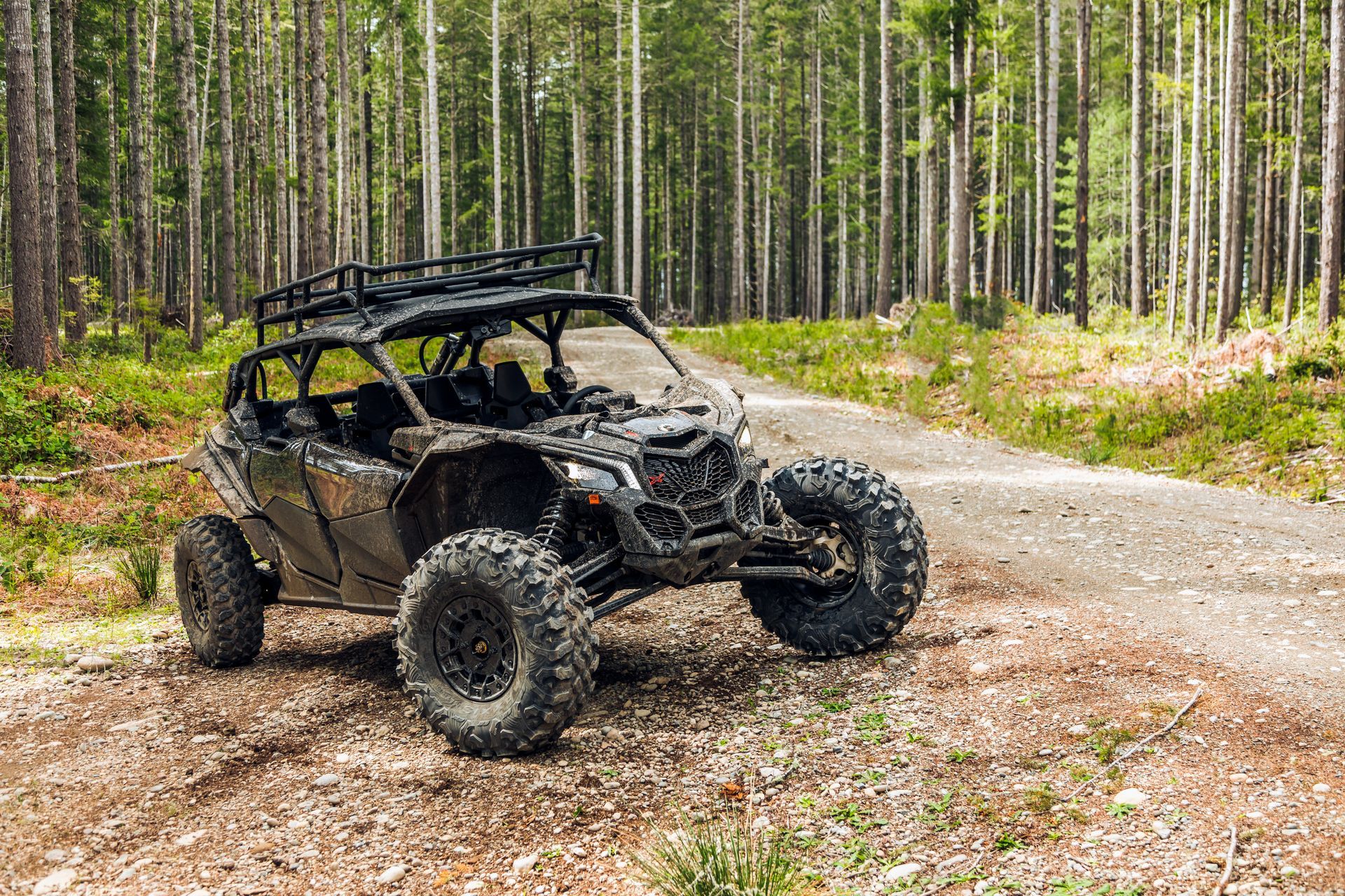 Black off-road UTV parked on a dirt trail in a forest of tall pine trees. Black off-road UTV parked on a dirt trail in a forest of tall pine trees.