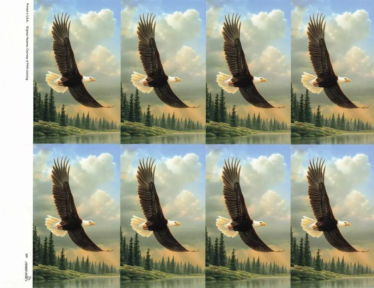 Eight-panel grid of a bald eagle soaring over a forest and lake under cloudy sky