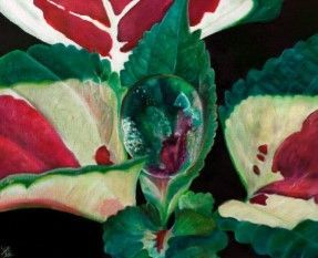 Close-up van een bloem met rode, groene en crèmekleurige vlekken en een donker hart, tegen een zwarte achtergrond.
