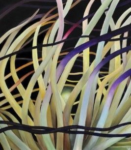 Abstracte close-up van ineengestrengelde gebogen linten in crème, zwart, paars en geel.