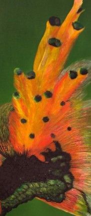 Abstracte oranje en gele vlamachtige kunst met zwarte stippen op een donkere achtergrond.