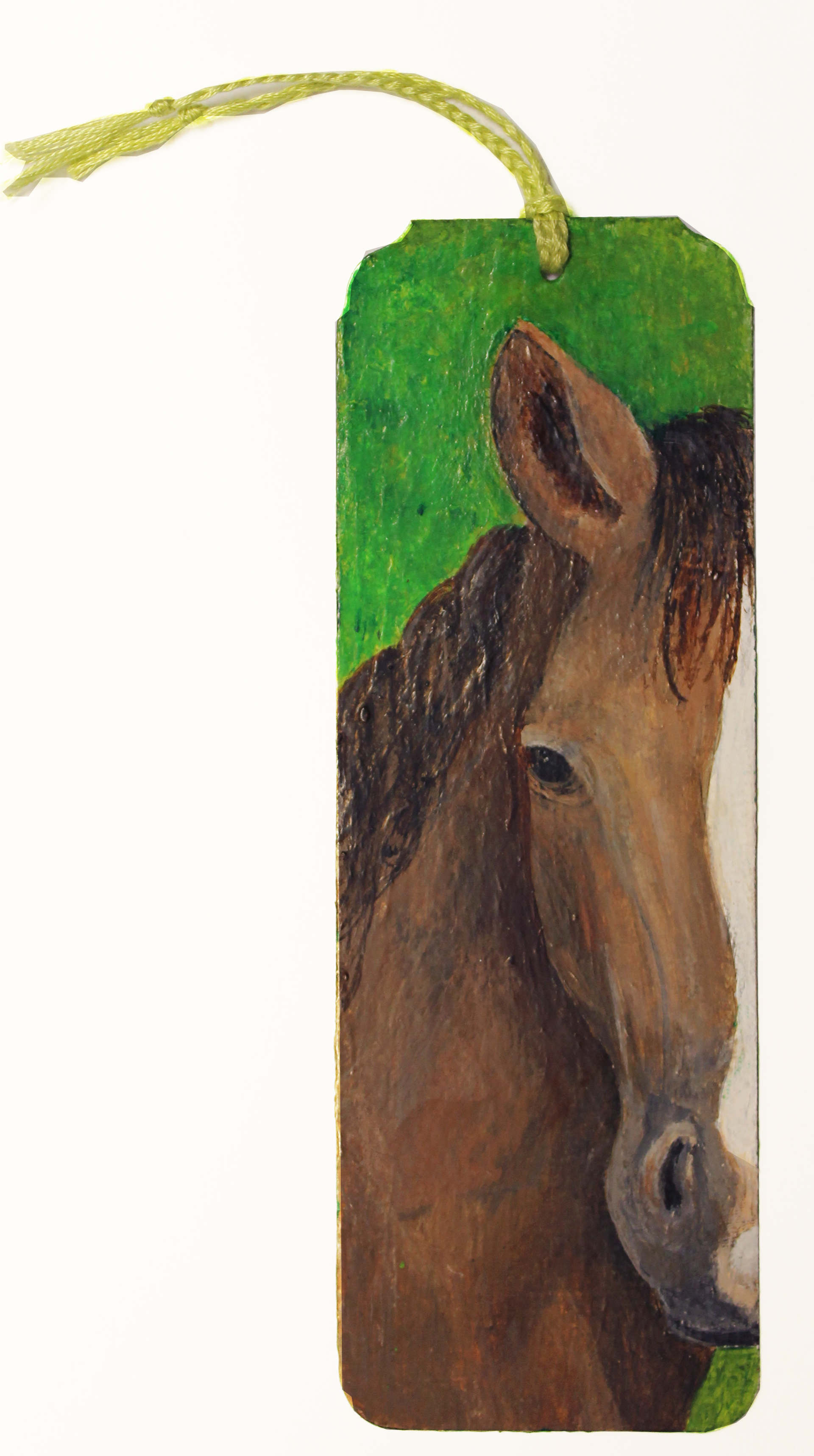 Paardenboekenlegger met een geschilderd bruin paardenhoofd op een groene achtergrond.
