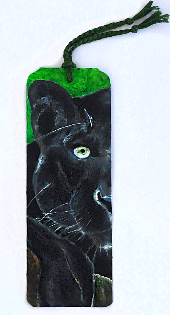 Boekenlegger met een zwarte kat, groene bovenkant en kwastje op een witte achtergrond.
