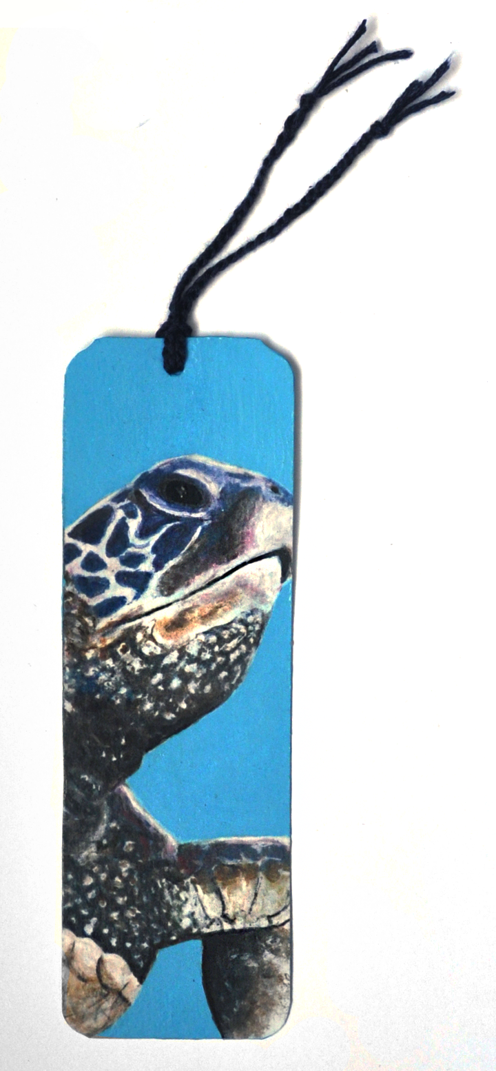 Blauwe boekenlegger met een close-up illustratie van een schildpad en een zwarte kwast.